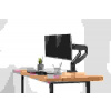 Digitus universální držák monitoru duální s plynovou pružinou, 15-32 