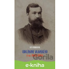 E-kniha Odklínanie Vajanského - Eva Fordinálová
