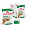 ROY ROYAL CANIN Mini Ageing - mokré krmivo pre psov - 12 x 85g