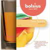 Sviečka bolsius Jar True Scents 95/95 mm, mango