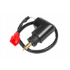 Automatické sanie Tec, Walbro Piaggio 125-250 4T
