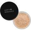 Provida Organics Earth Minerals Balancing Primer Powder - Medium