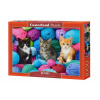 Castorland Kittens in Yarn Store 1000 dielov