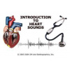 CD.3m Littmann- Introduction To Heart Sounds, Educational CD (Výrobca - Littmann (Výukový program - Multimediálne CD))