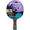 Raketa na stolný tenis Giant Dragon INC 601 modrá