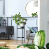 Stojan s 3 bielymi kvetináčmi Bloomie Stand PROSPERPLAST