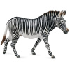 Collecta Zebra