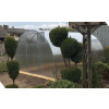 Záhradný skleník 3x4 m POLYKARBONÁT 4 mm VYPR