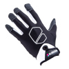 BlindSave Goalie Gloves SUPREME L, čierna