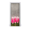 Samolepiace fototapety na dvere ružové tulipány 75x205