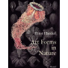 Art Forms in Nature - Ernst Haeckel