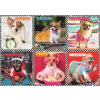 Trefl - Puzzle Veselé psy - 200 dielov