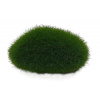 Zen garden Z50 - umelý mach - tráva
