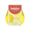 Nohel garden Svíčka proti hmyzu ve skle TRUE CITRONELLA d9x9,5cm