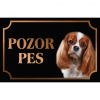 Kavalier King Charles španiel - Kovová tabuľka POZOR PES