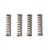 Pružiny spojky Kawasaki ZX-6R 600 Ninja 95-02