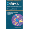 Chřipka - Jiří Beran