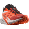Salomon Sense Ride 5 47 1/3