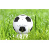 BULL PRODUCTS prenosny Bluetooth 3.0 futbalova lopta