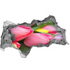 Samolepiaca diera na stenu Farebné tulipány 95x73 cm