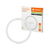 Kruhová LED žiarivka 2GX13 T5 11,6W 1550lm 3000K Warm 120° Ledvance