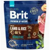 Brit Premium by Nature Sensitive Lamb 1 kg