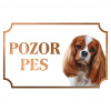 Kavalier King Charles španiel - Kovová tabuľka POZOR PES