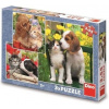 Dino Zvierací kamaráti 3x55 dielov
