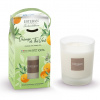 Esteban Paris Parfums ESTEBAN - SVÍČKA TAKE AWAY 180 G - NATURE - orange and green tea