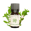 Aroma Natura Éterický Olej Španielska divá Majoránka - 10ml