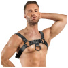 Bedroom Fantasies Bondage Harness Bruno, sexy hrudný oblek