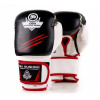 Boxerské rukavice dbx bushido b-2v3 14 oz (Rukavice Bushido 14oz)