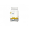 VetExpert VetAminex pro psy a kočky 60cps (Twist off)