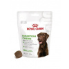 Royal Canin Adult Dog Supplements Digestion Chews 160 g