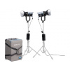 Nanlite FC-300B 2-Light Trolley Case Kit