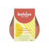 Nohel garden Svíčka proti hmyzu ve skle TRUE CITRONELLA d9x9,5cm