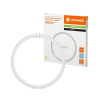 LED kruhová žiarivka 2GX13 T5 21,5W 3200lm 6500K Cold 120° Ledvance