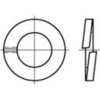 TOOLCRAFT 105641 pérová podložka Vnútorný Ø: 16.2 mm DIN 127 pružinová ocel 100 ks; 105641