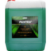 Pantra profesional 08