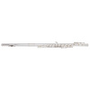 BACIO INSTRUMENTS BFL-150C