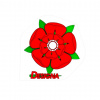 Designa Patriotic County - Lancashire Rose F0981