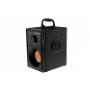 Prenosný reproduktor Media-tech BOOMBOX BT MT3145 čierny 15 W
