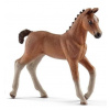 Schleich 17078 Hannoverské hříbě