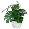 Umelá Monstera v črepníku 40cm