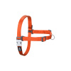 Postroj pre psa Red Dingo 59-84 cm Oranžová M/L
