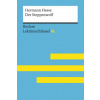 Hermann Hesse: Der Steppenwolf (Georg Patzer)(Brožovaná)