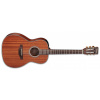 Takamine GY11ME Natural Satin