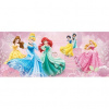 Panoramatická fototapeta - PA4384 - Walt Disney princezny 250cm x 104cm - Vliesová fototapeta