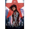 The Winter Soldier: Cold Front