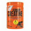 Extrifit Creatine Germany 300 g